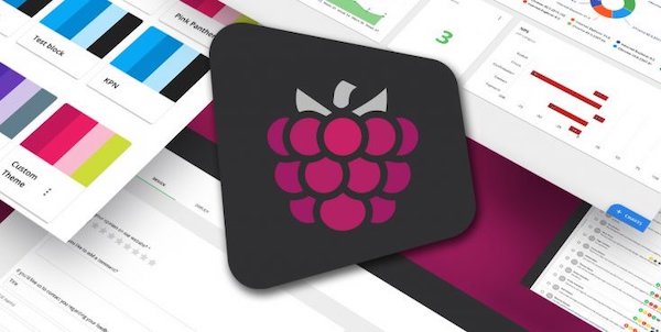 Mopinion raspberry banner