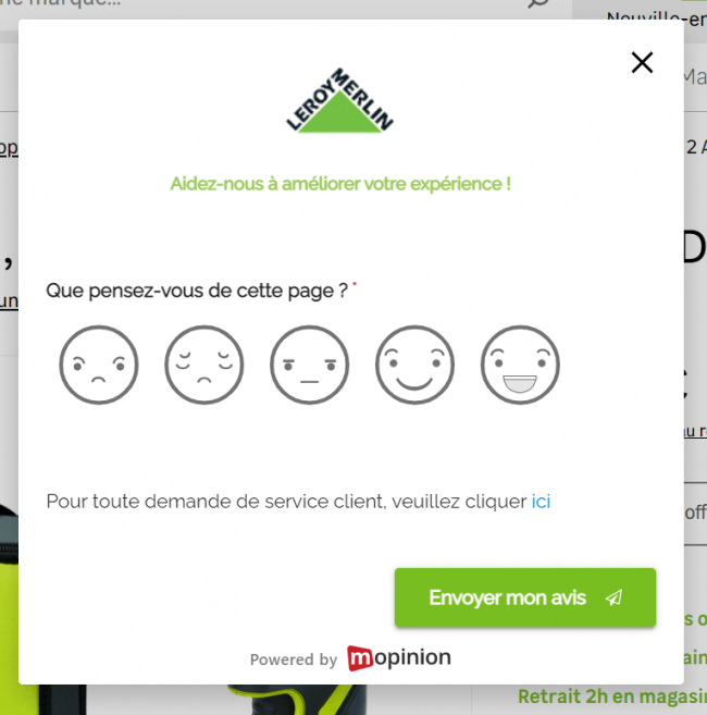 Leroy Merlin chooses Mopinion to shape online VoC programme - Mopinion