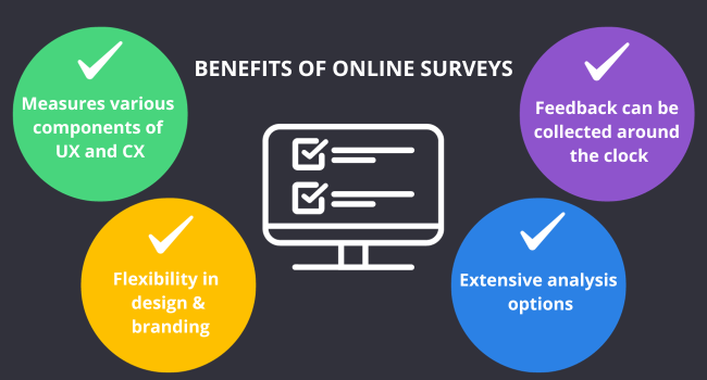 Understanding the Potential of Online Surveys