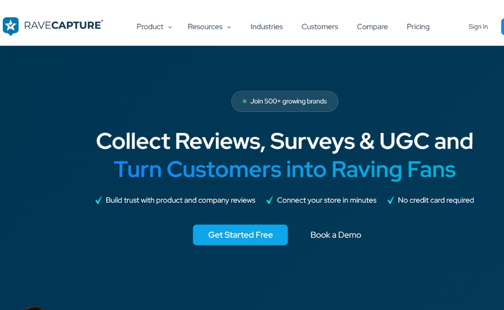ravecapture - website feedback tools - example