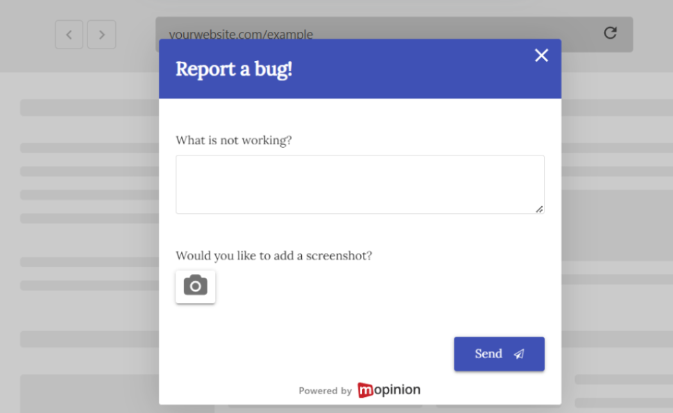 Bug report - website feedback examples