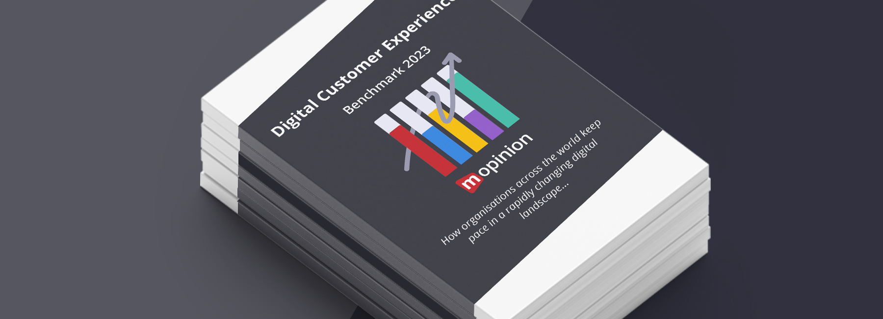 Digital Customer Experience (CX) Benchmark 2023