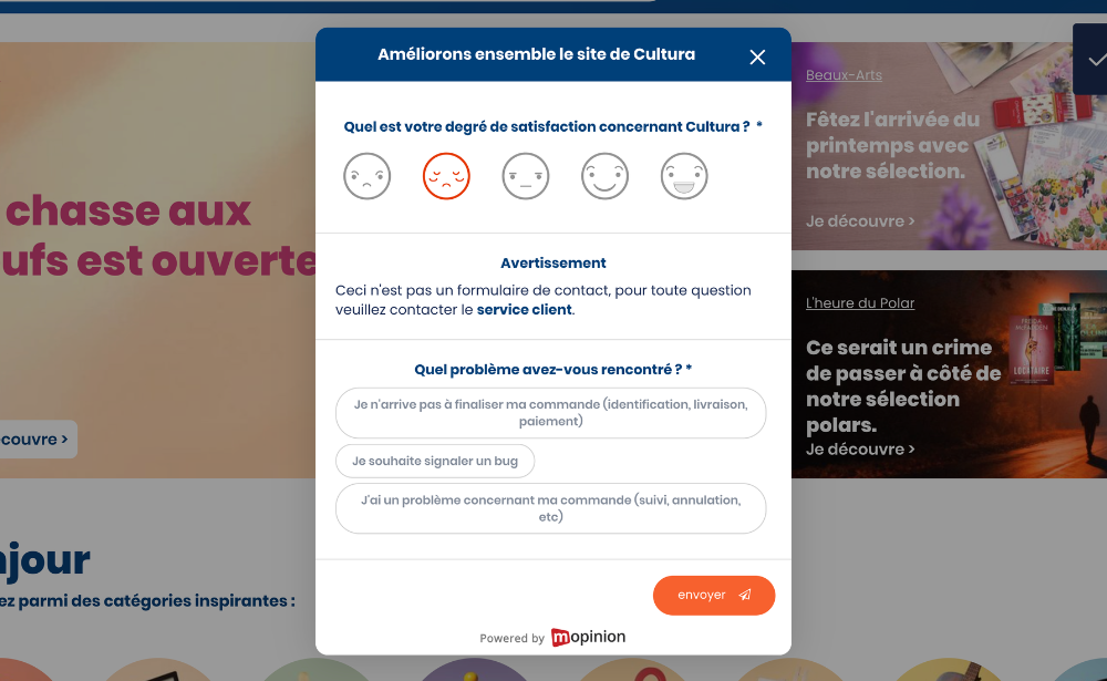 Cultura - General feedback example