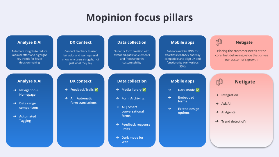 the Mopinion focus pillars