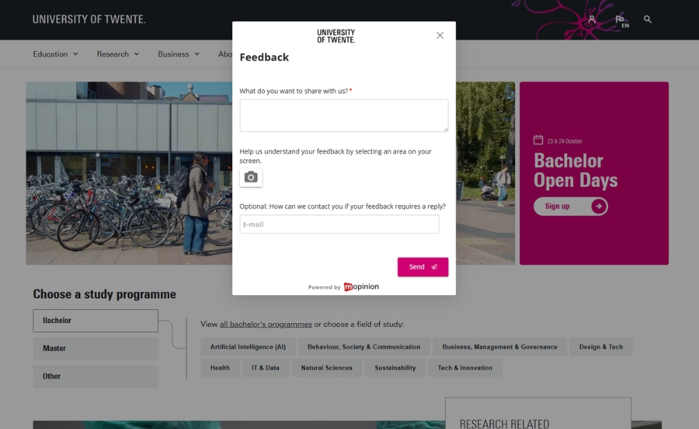 Example of website feedback - University of Twente